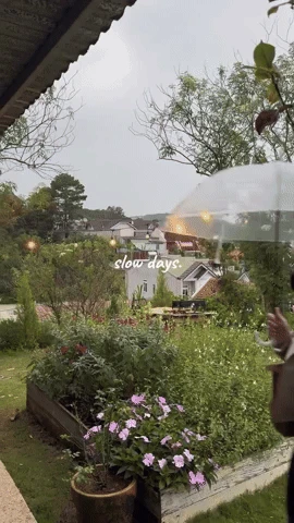 Vợ Giám đốc của Lương Xuân Trường dạo này chăm lộ diện, visual vợ hiền hay CEO sang chảnh cuốn hút hơn? - Hình 3