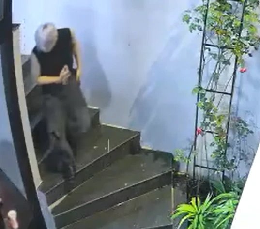 1 Em Xinh an tĩnh nhất bỗng gặp nạn, Sơn.K, Han Sara thót tim, fan khuyên 1 điều - Hình 3