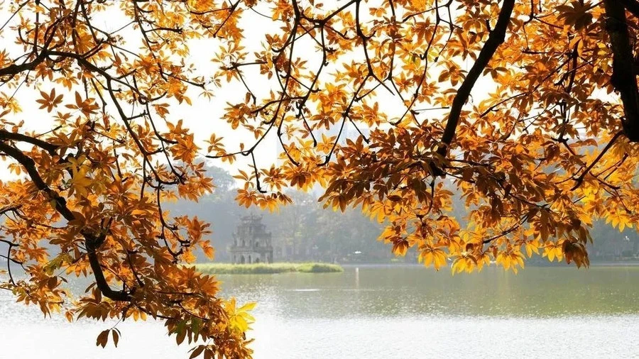 Hà Nội lọt top điểm ngắm lá mùa thu đẹp nhất châu Á - Hình 1