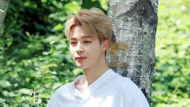 Jimin (BTS) tái xuất giao diện mới, RM bị lu mờ bởi 1 chi tiết, ARMY phát cuồng! - Hình 2