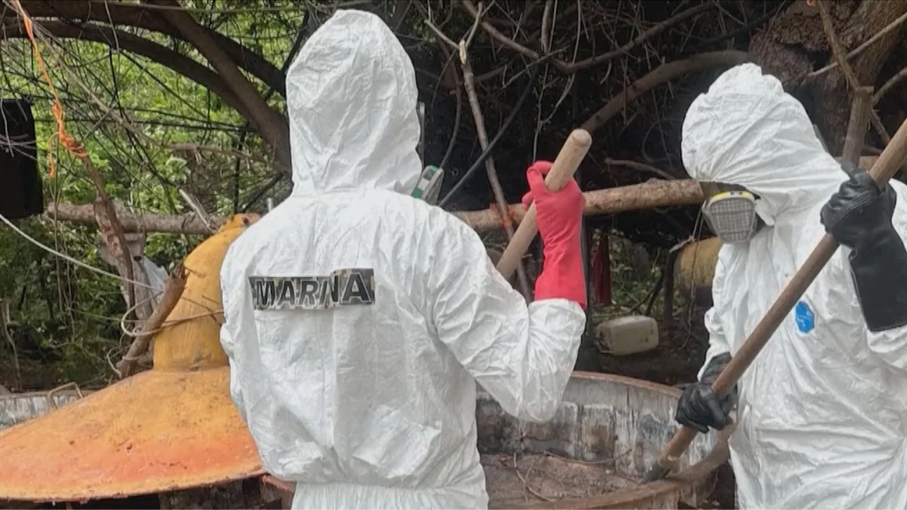 Cảnh sát Mexico triệt phá hai phòng thí nghiệm sản xuất ma túy - Hình 1