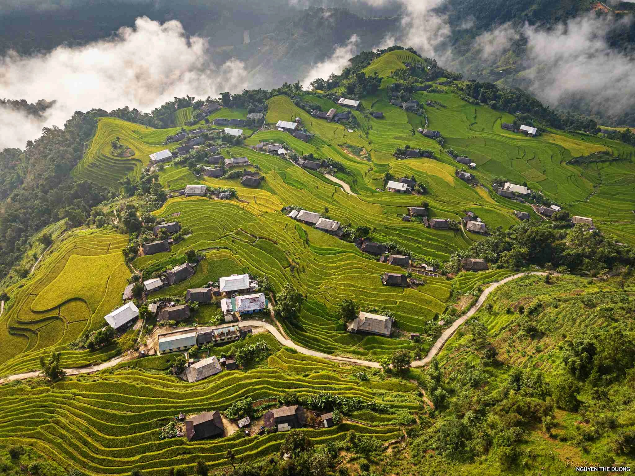 Mùa lúa chín ở Bản Phùng nhìn từ trên cao - Hình 2