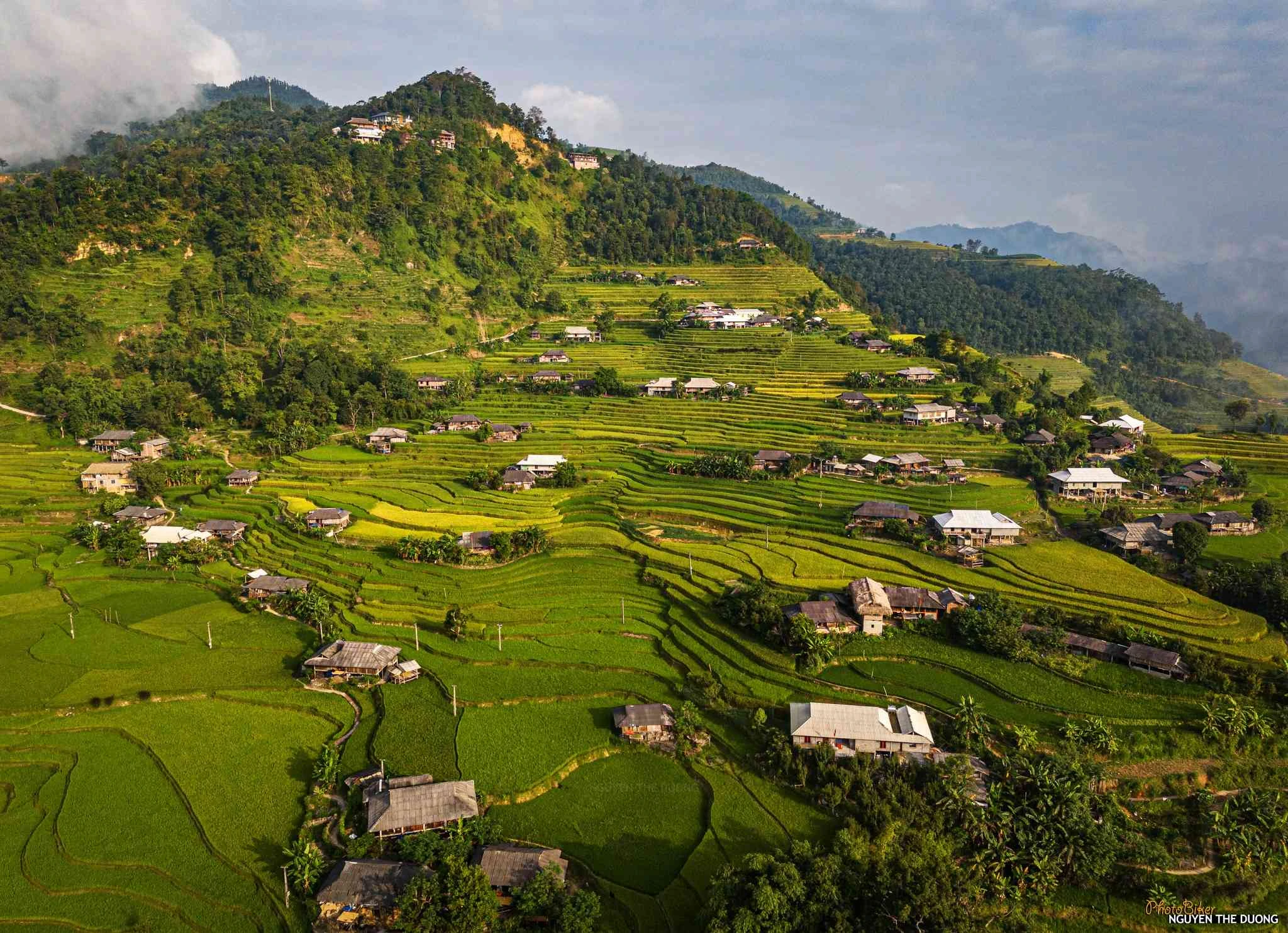 Mùa lúa chín ở Bản Phùng nhìn từ trên cao - Hình 6