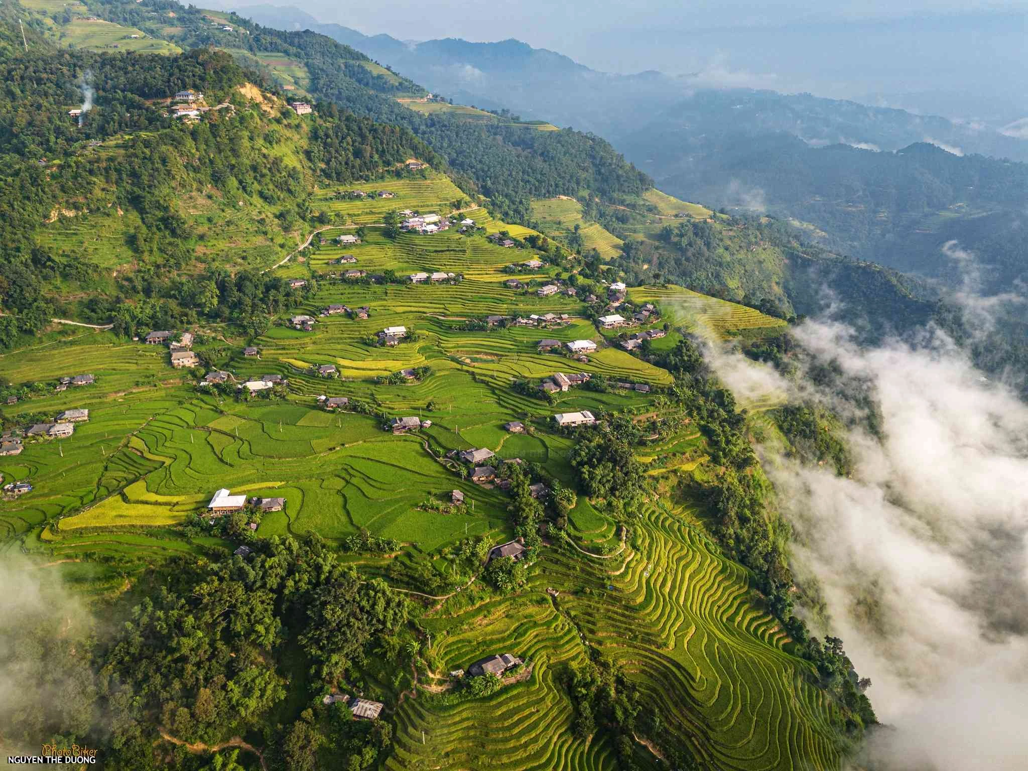 Mùa lúa chín ở Bản Phùng nhìn từ trên cao - Hình 5
