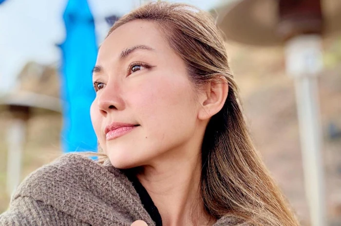 Kim Hiền ly hôn chồng Việt Kiều, đã thông nhất chuyện tranh chấp tài sản - Hình 1