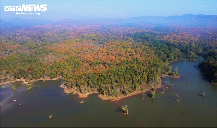 Chiêm ngưỡng sắc màu độc đáo của rừng khộp lớn nhất Việt Nam mùa trút lá - Hình 1