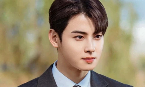 Cha Eun Woo thừa nhận sai phạm, nhập ngũ lánh nạn giữa tâm bão trốn thuế sốc - Hình 5