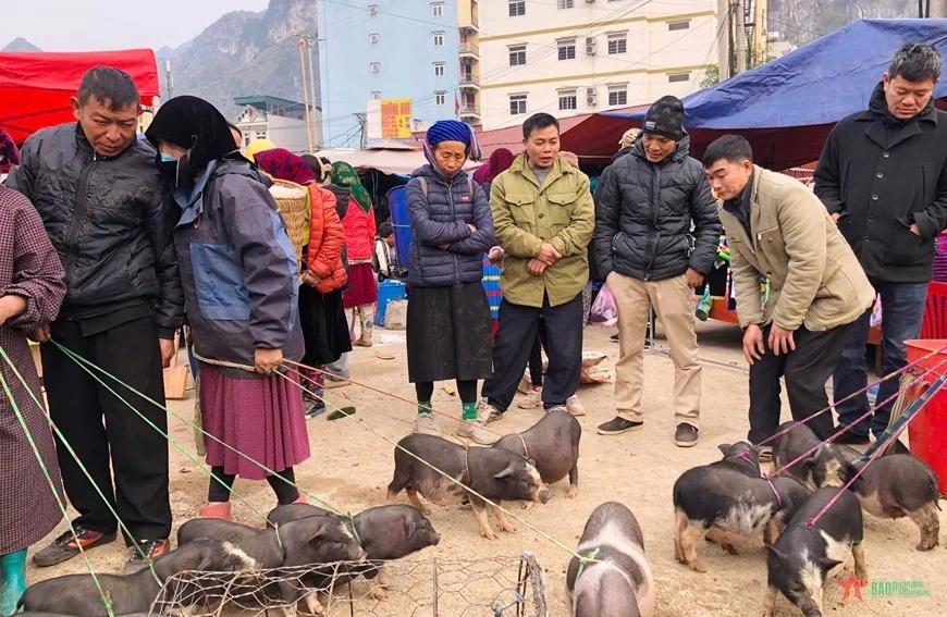 Chợ phiên Đồng Văn, điểm hẹn văn hóa thu hút du khách - Hình 4