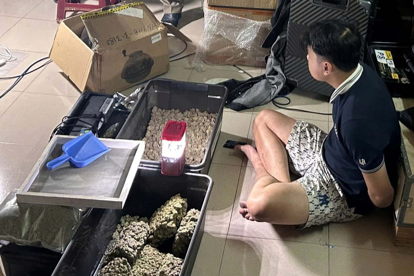 Thanh niên thuê nhà, lắp điều hòa để trồng gần 100 cây cần sa - Hình 2