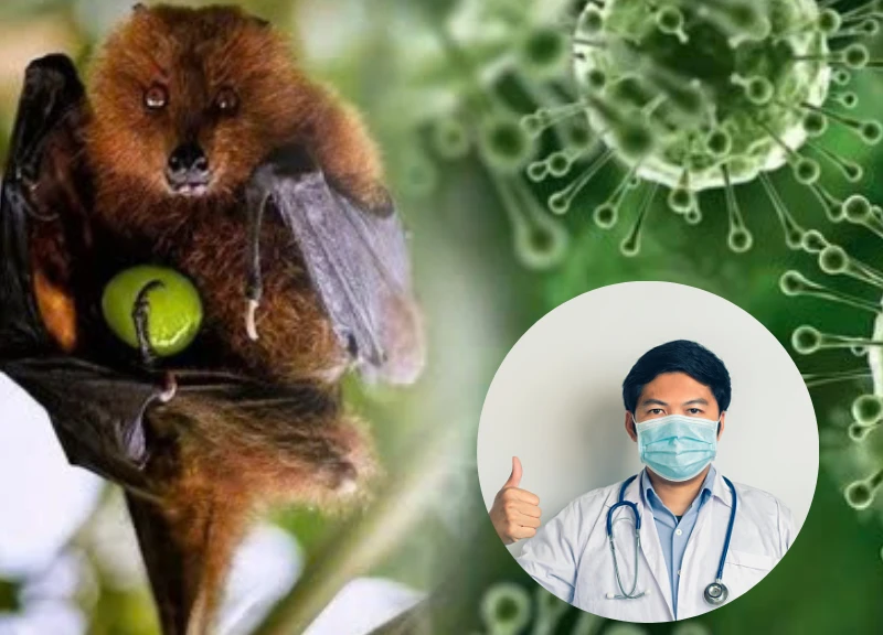 Bác sĩ khuyến cáo 5 vật dụng bảo hộ thiết yếu phải chuẩn bị để phòng virus Nipah - Hình 1