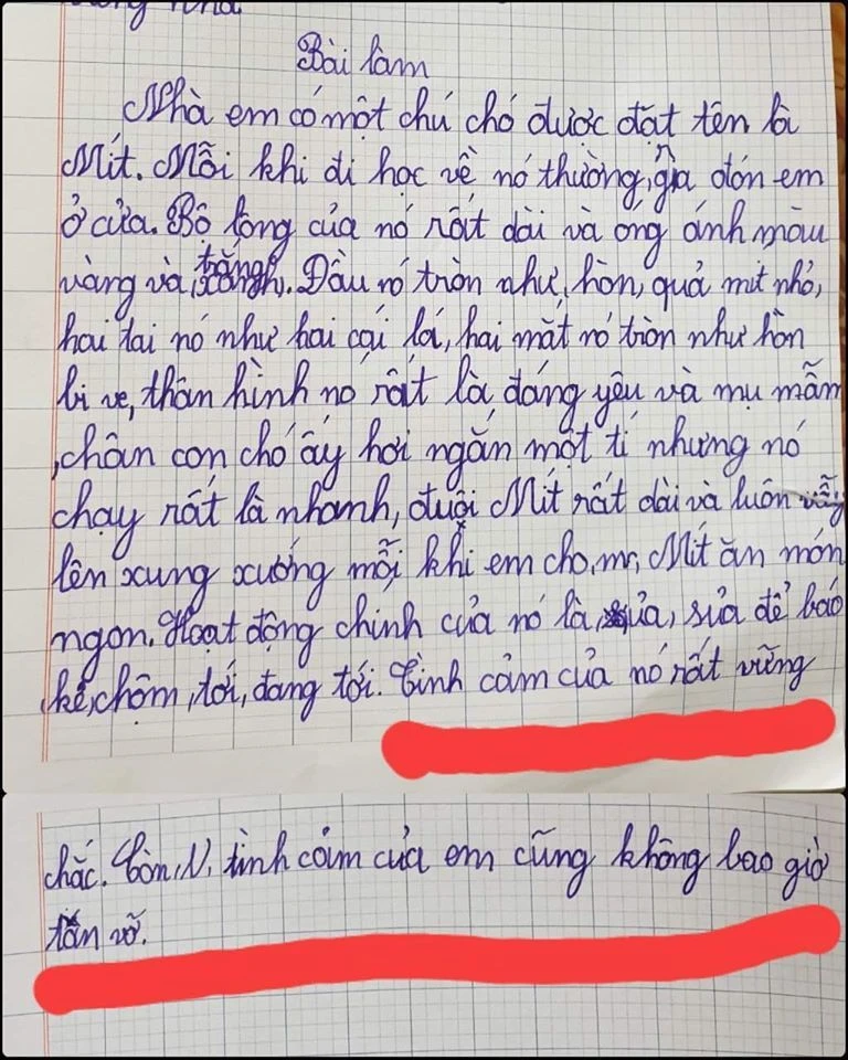 Học sinh tiểu học viết văn: Tình cảm của em không bao giờ tan vỡ - Xem đối tượng được nhắc đến mà cười xỉu - Hình 1