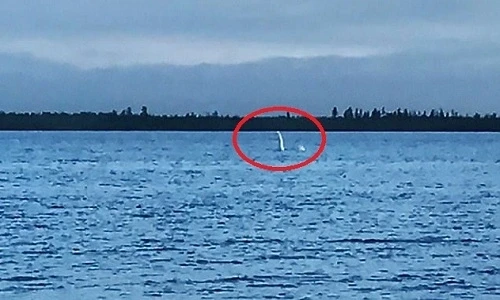 Chuyên gia kỳ cựu tiết lộ manh mối sốc,về quái vật Loch Ness 52 năm tìm kiếm - Hình 6