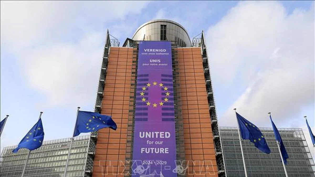 EU và Canada hướng tới liên minh vì tương lai - Hình 1