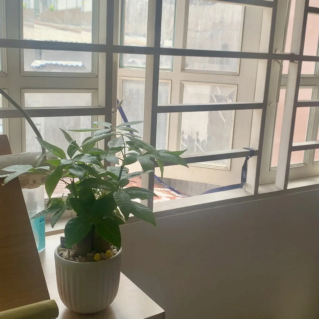 Không mua nổi nhà, thà làm công chúa phòng trọ: Thoát cảnh gánh nợ hàng chục năm, có tiền thì thuê nhà xịn - Hình 4
