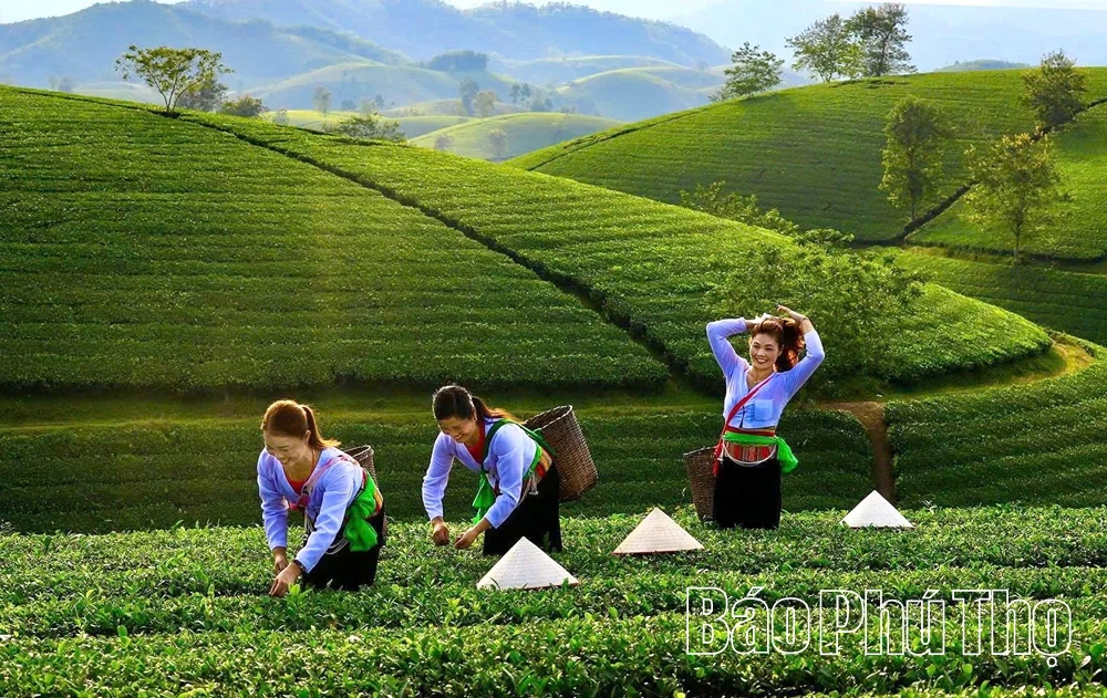 Long Cốc - Điểm du lịch hấp dẫn miền Đất Tổ - Hình 6