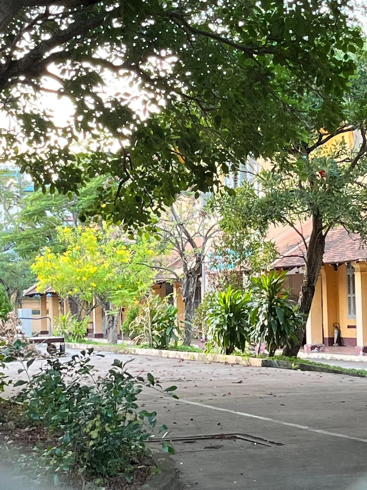 Ngôi trường trăm tuổi từng khiến dư luận nóng lên với việc trùng tu hay đập đi xây mới: Vẫn đẹp lãng mạn sau 10 năm, điểm chuẩn thế nào? - Hình 12