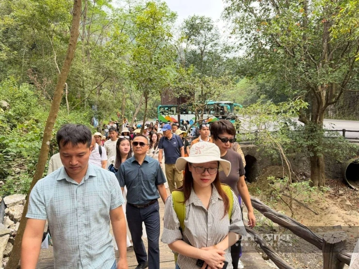 Quý Châu: Điểm đến của những câu chuyện cổ tích và ngôi làng đẹp tựa tranh vẽ - Hình 4