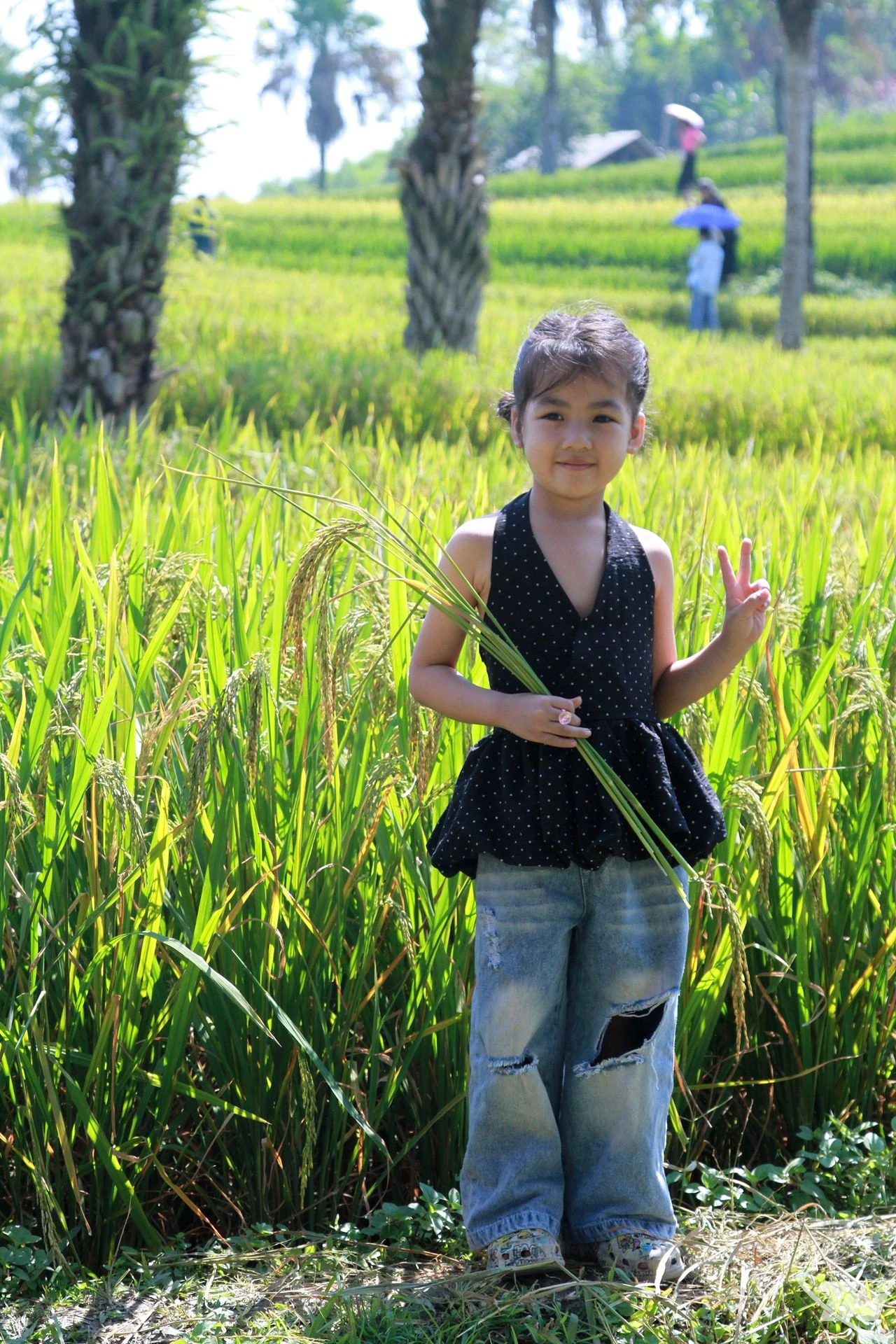 Có một Bản Tèn đang đợi du khách - Hình 9