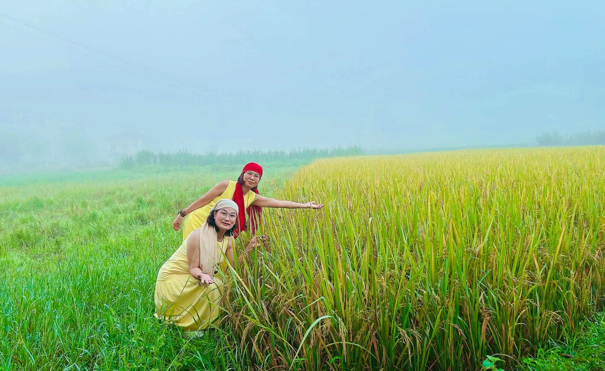Những điểm đến khiến hành trình cuối năm thêm đáng nhớ - Hình 3