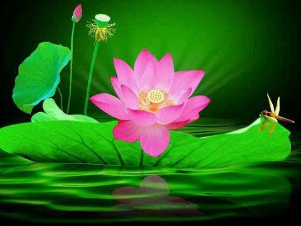 Đúng 20h hôm nay, ngày 21/10/2026, 3 con giáp Thiên Hoàng chiếu mệnh, vận đỏ chạm nóc, CÁT KHI HANH THÔNG, thành công nối tiếp - Hình 2
