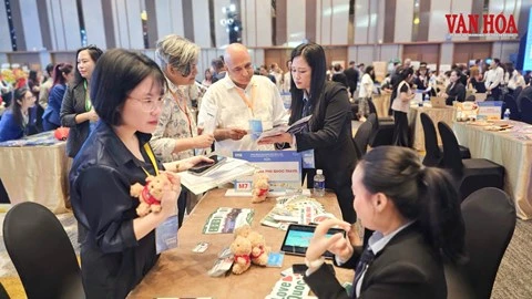Đà Nẵng đón đầu xu hướng du lịch quốc tế năm 2027 - Hình 3
