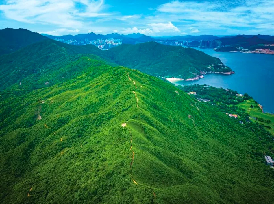 Điểm đến không thể bỏ lỡ khi du lịch Hồng Kông mùa thu năm nay - Hình 4