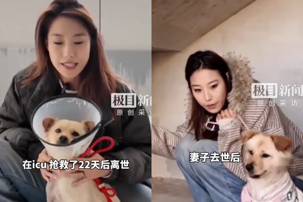 KOL 27 tuổi qua đời vì nhiễm căn bệnh lạ - Hình 2