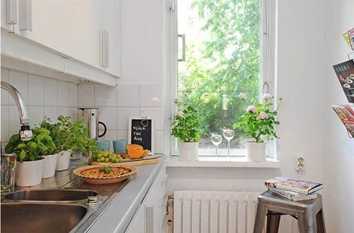 Vị trí đặt cây xanh giúp gia chủ thu hút vượng khí - Hình 3