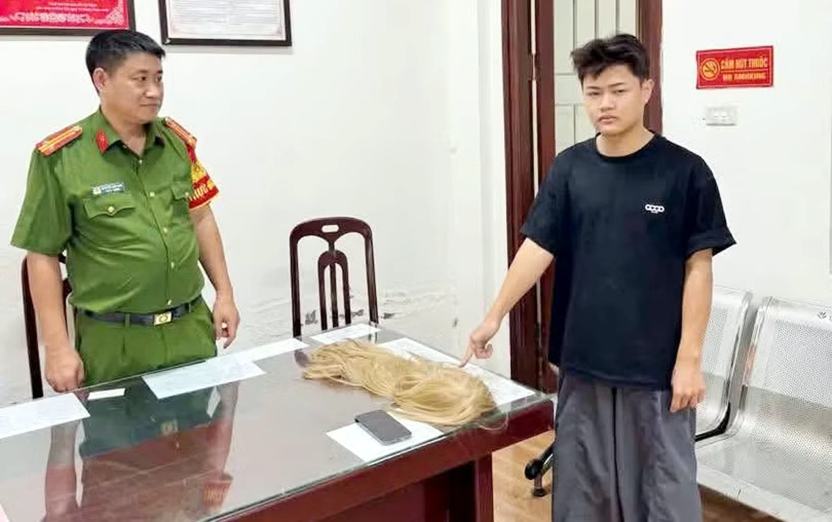 Giả gái xinh trên ứng dụng hẹn hò, chuốc rượu nạn nhân để trộm tài sản ở Hà Nội - Hình 1