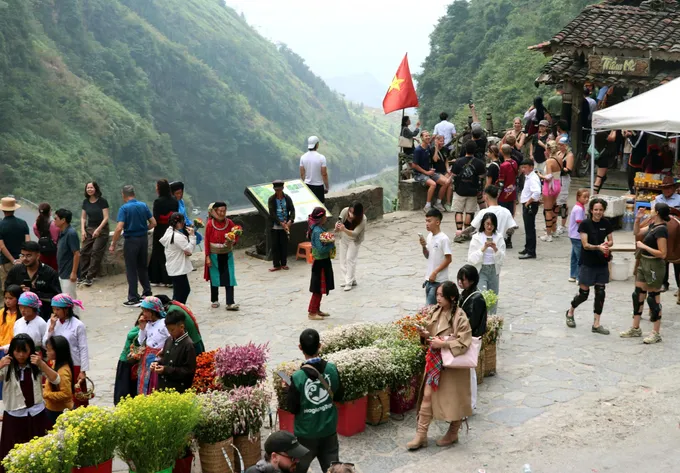 Tam giác mạch nhuộm hồng cao nguyên đá - Hình 4
