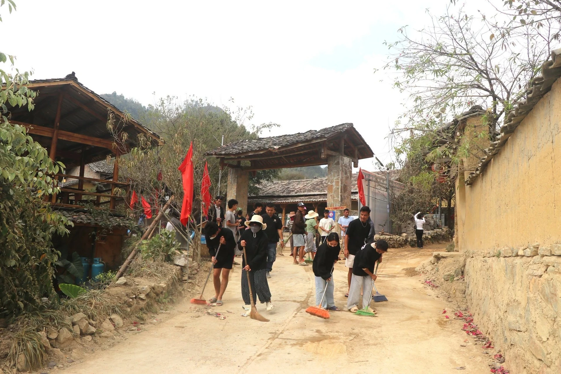 Lũng Cú cháy phòng đầu mùa hoa tam giác mạch - Hình 2
