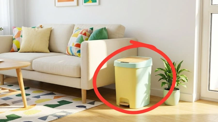 Vì sao không nên đặt thùng rác ở phòng khách? - Hình 1
