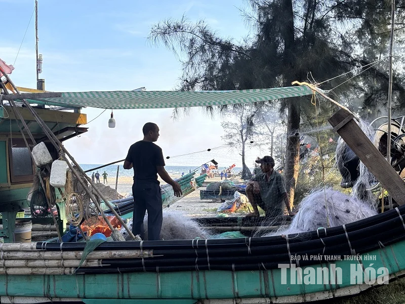Chiều trên biển Tiên Trang - Hình 8