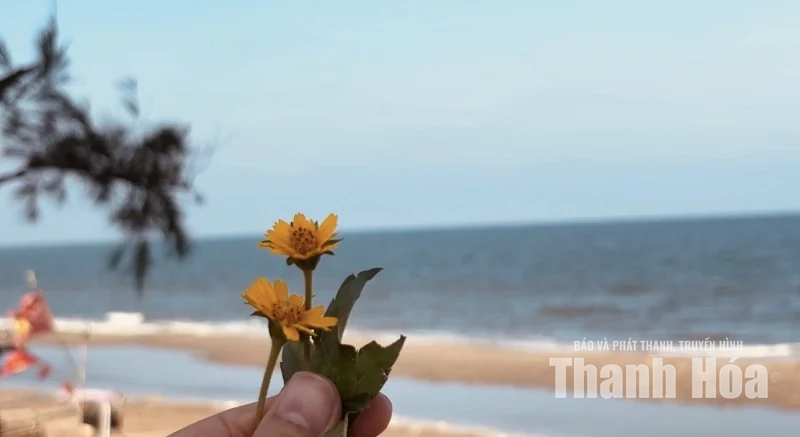 Chiều trên biển Tiên Trang - Hình 10