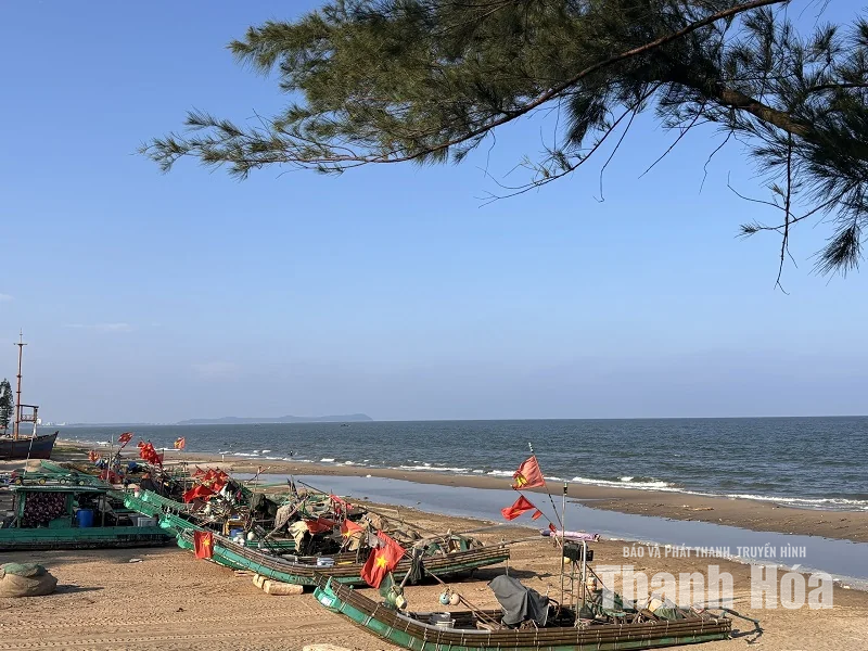 Chiều trên biển Tiên Trang - Hình 4