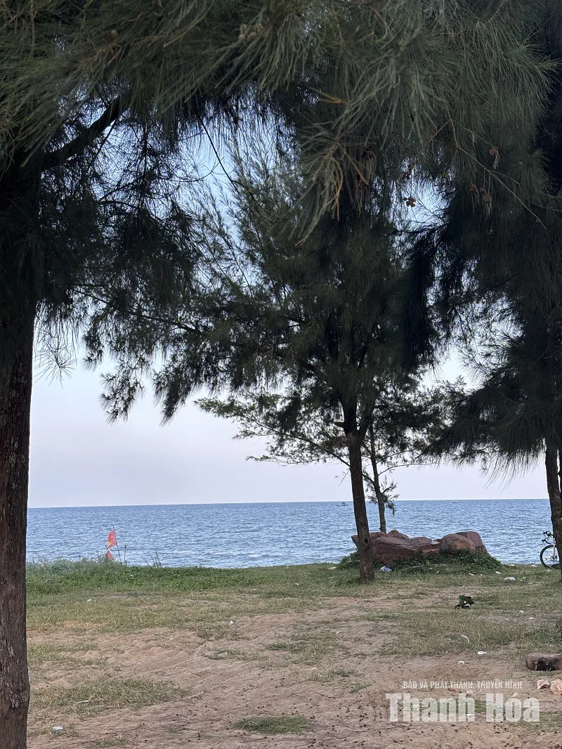 Chiều trên biển Tiên Trang - Hình 2