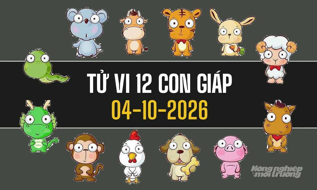 Tử vi 12 con giáp ngày 4/10/2026: Dần - Mão - Tỵ - Ngọ may mắn - Hình 1
