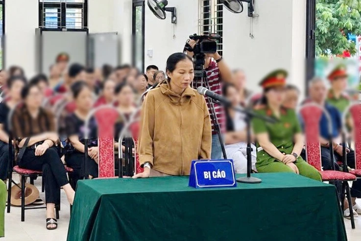 Một phụ nữ ở Hải Phòng lĩnh 24 tháng tù treo vì dùng hàn the làm giò chả - Hình 1