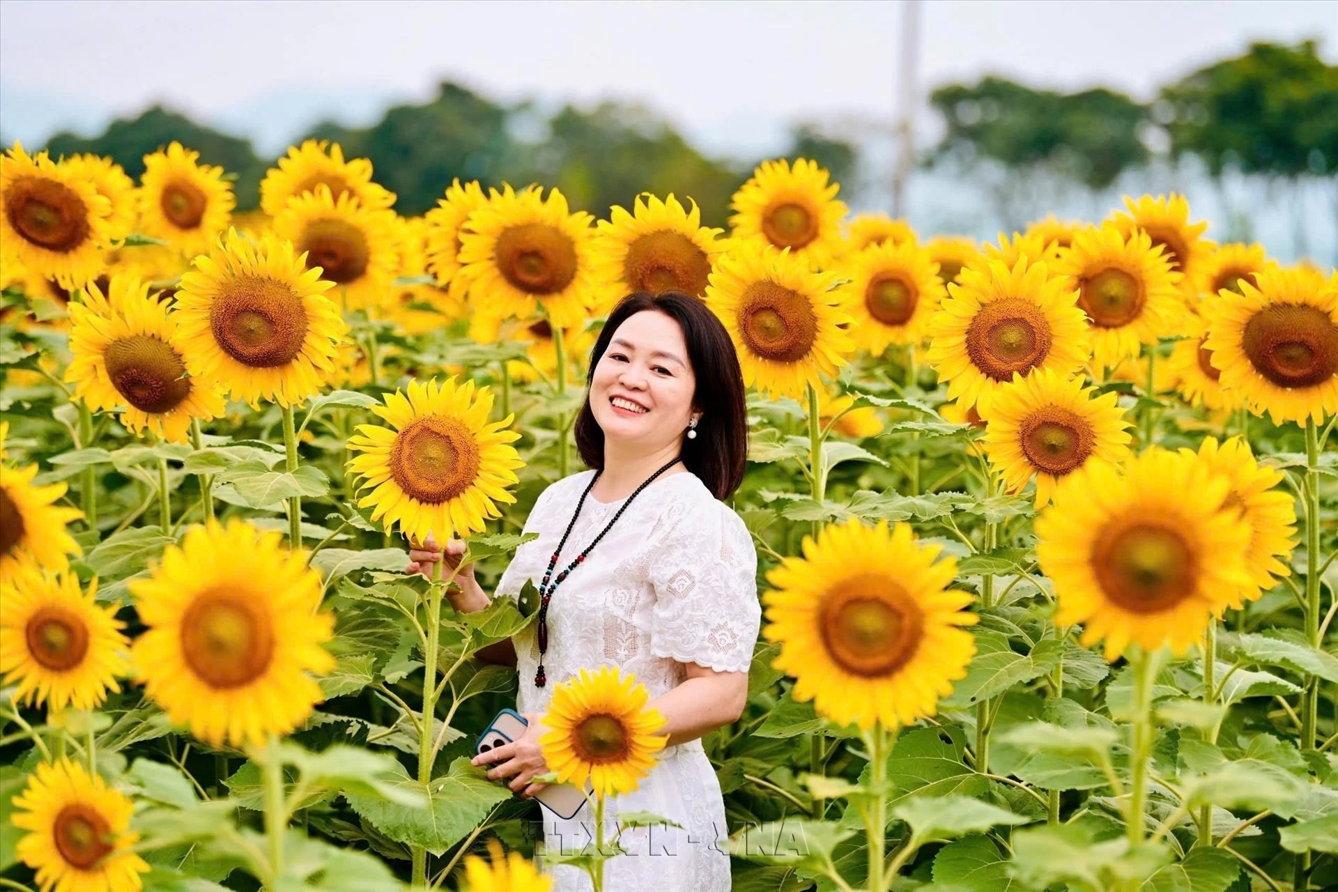 Đa dạng trải nghiệm du lịch ở Nghệ An - Hình 6