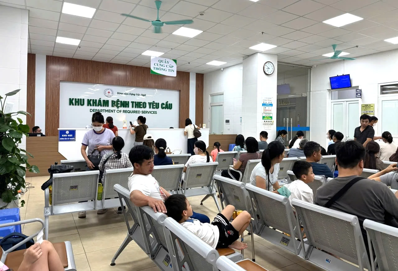 Ngứa dai dẳng, cảnh báo bệnh nguy hiểm lây từ thú cưng - Hình 2