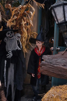 Quán cafe ở Hà Nội mạnh tay chi hàng trăm triệu đồng, biến hình đón Halloween - Hình 8