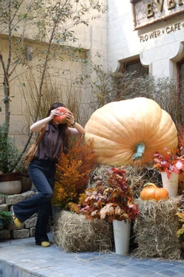 Quán cafe ở Hà Nội mạnh tay chi hàng trăm triệu đồng, biến hình đón Halloween - Hình 3
