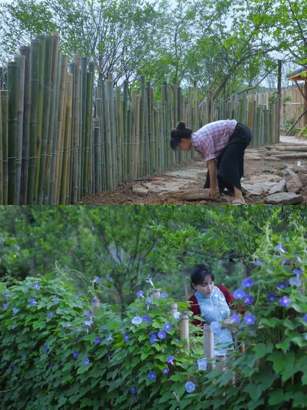 Căn nhà ở quê của Lý Tử Thất - Hình 4