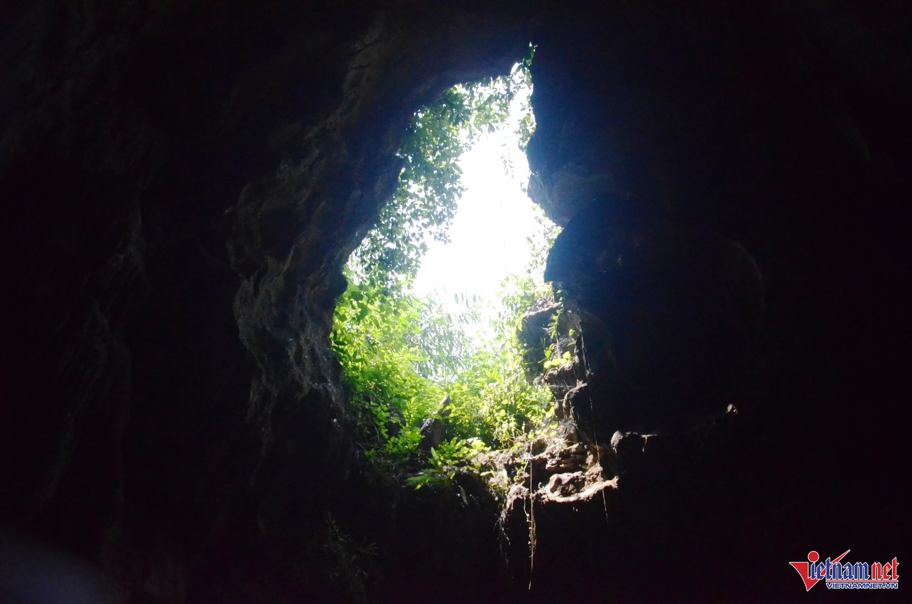 Hang động kỳ thú ở Ninh Bình, du khách đi thuyền giữa dải ngân hà - Hình 9