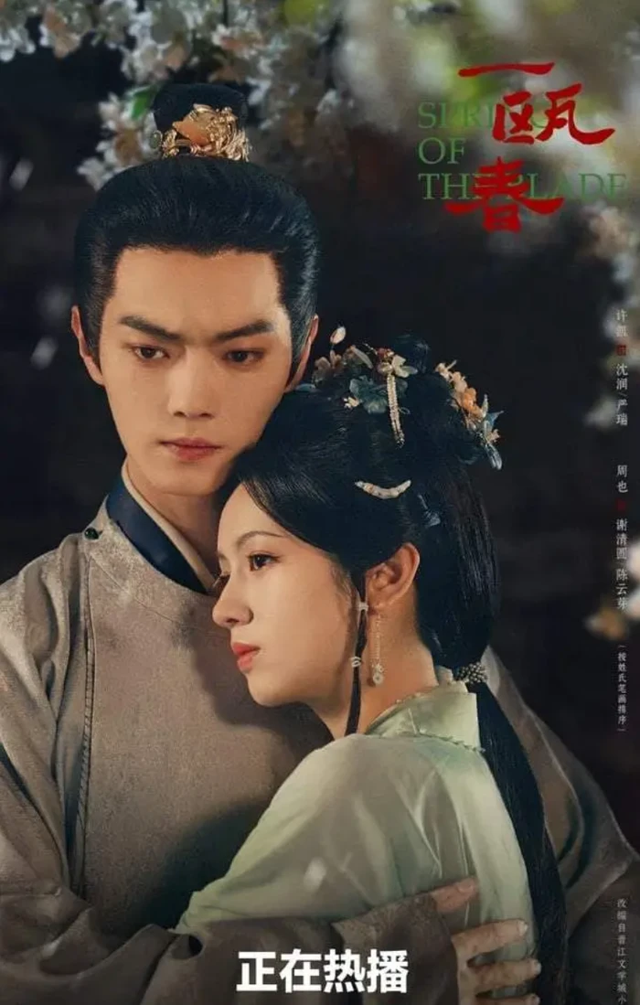 Top 10 phim truyền hình Hoa ngữ có điểm Douban cao nhất tháng 9/2026 - Hình 2