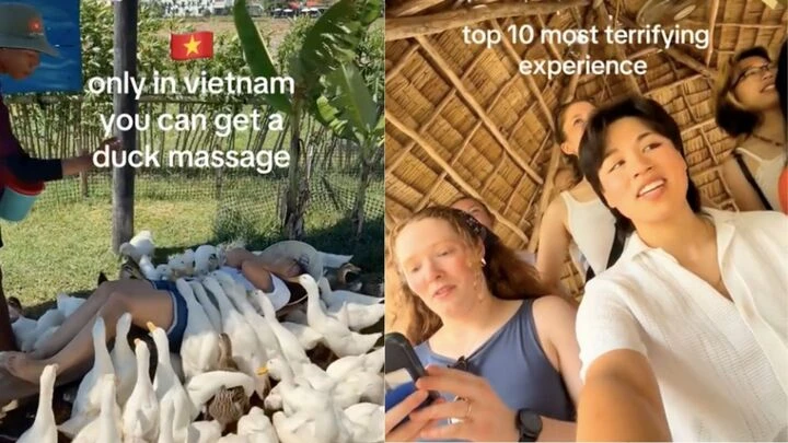 Khách Tây đi massage vịt, cá ở Việt Nam khen kỹ thuật viên rất tốt, rất hài - Hình 2