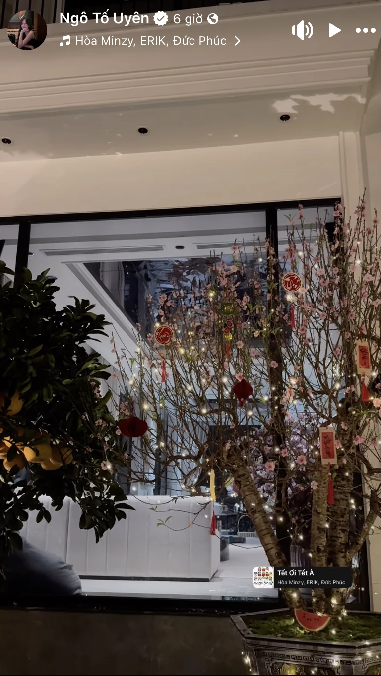 Biệt thự nhà Thành Chung và hotgirl Tuyên Quang lộng lẫy, rực rỡ không khí Tết, cuộc sống hôn nhân khiến netizen chỉ biết ước - Hình 2