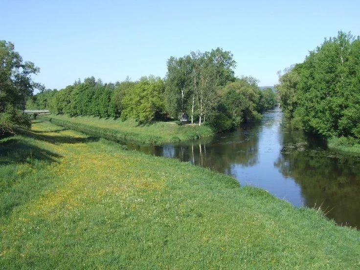 Khám phá rừng Đen huyền bí, nổi tiếng nhất châu Âu - Hình 6