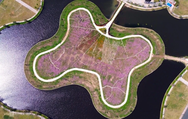 Cà Mau: Khám phá đảo hoa cánh bướm 2,5 ha lớn nhất vùng cực Nam - Hình 1