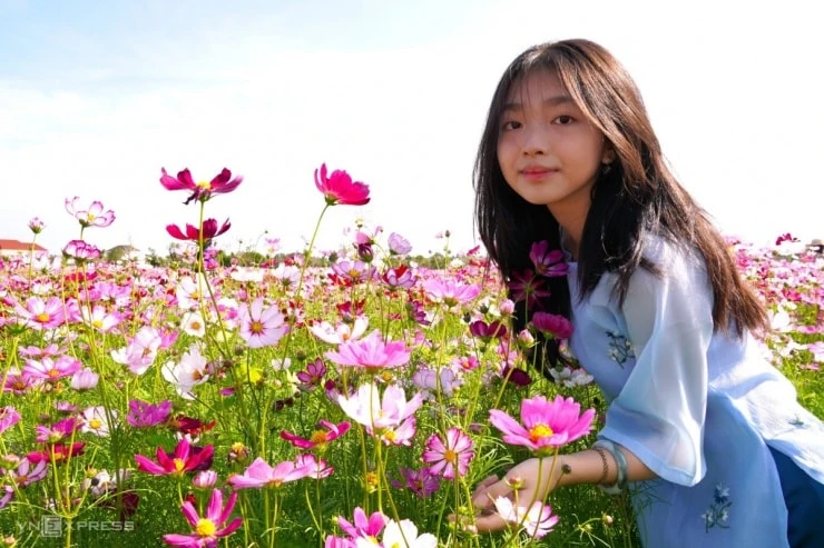 Cà Mau: Khám phá đảo hoa cánh bướm 2,5 ha lớn nhất vùng cực Nam - Hình 4